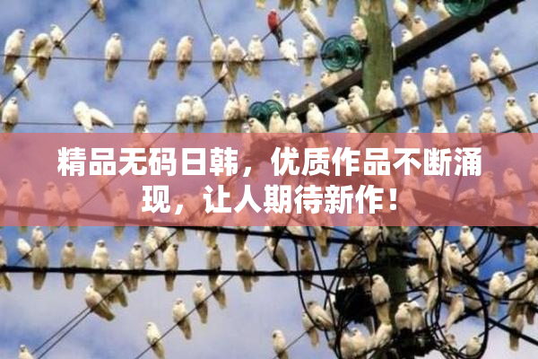 精品无码日韩，优质作品不断涌现，让人期待新作！
