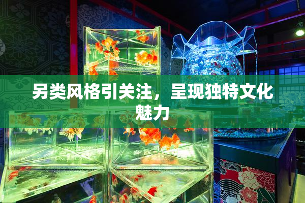 另类风格引关注，呈现独特文化魅力