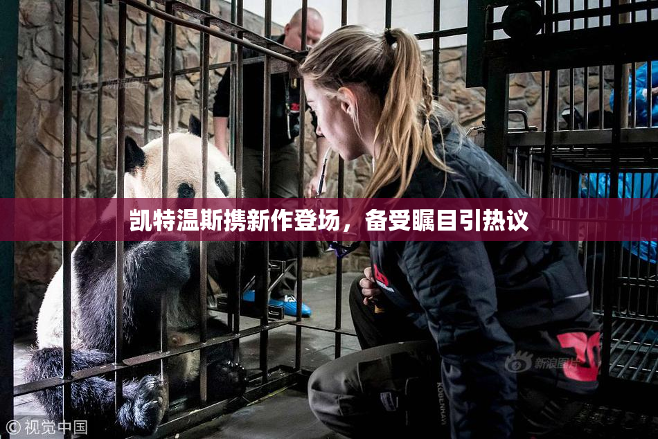 凯特温斯携新作登场，备受瞩目引热议
