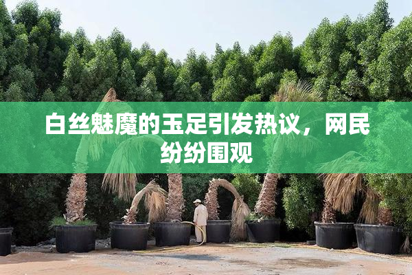 白丝魅魔的玉足引发热议，网民纷纷围观