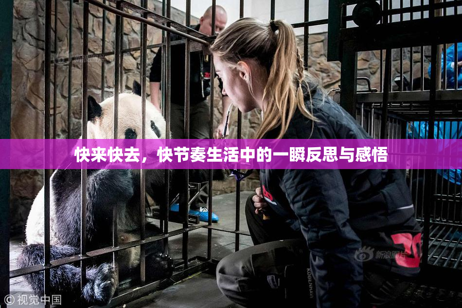 快来快去，快节奏生活中的一瞬反思与感悟