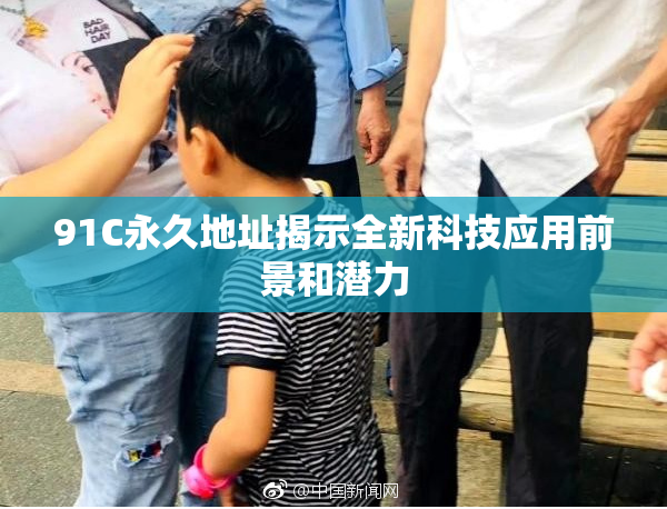 91C永久地址揭示全新科技应用前景和潜力