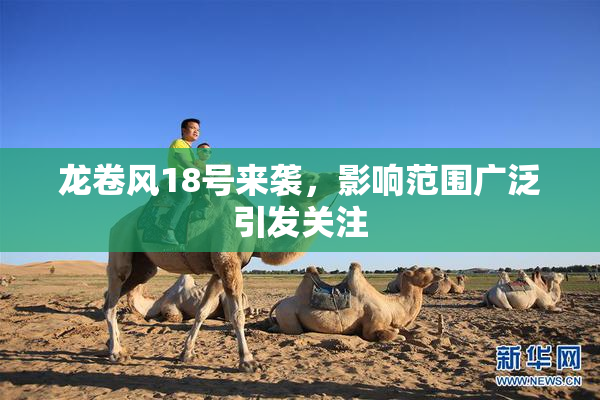 龙卷风18号来袭，影响范围广泛引发关注