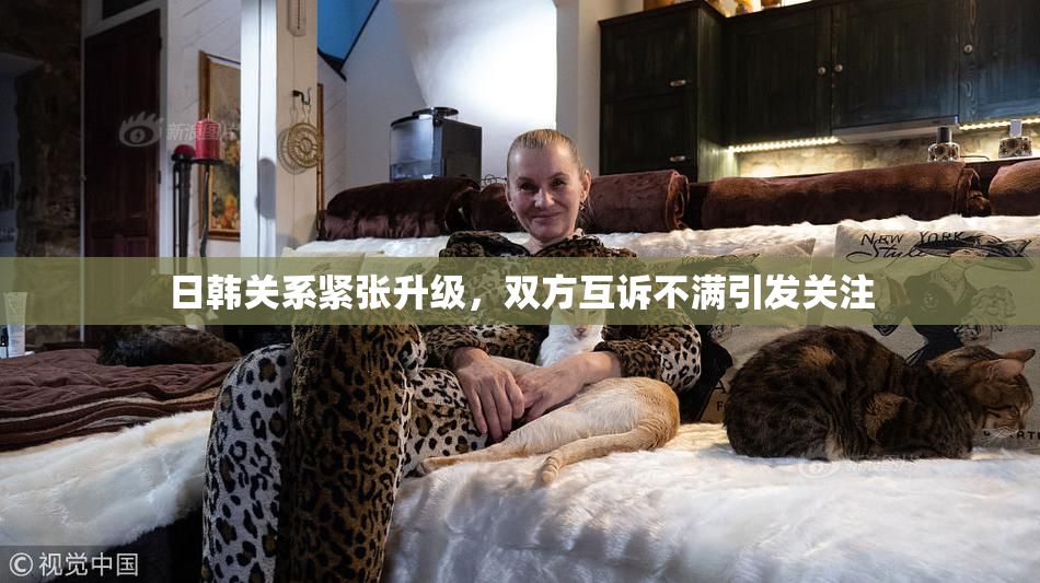 日韩关系紧张升级，双方互诉不满引发关注