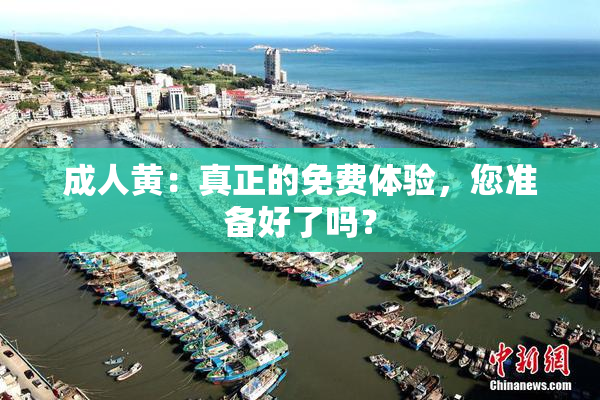 成人黄：真正的免费体验，您准备好了吗？