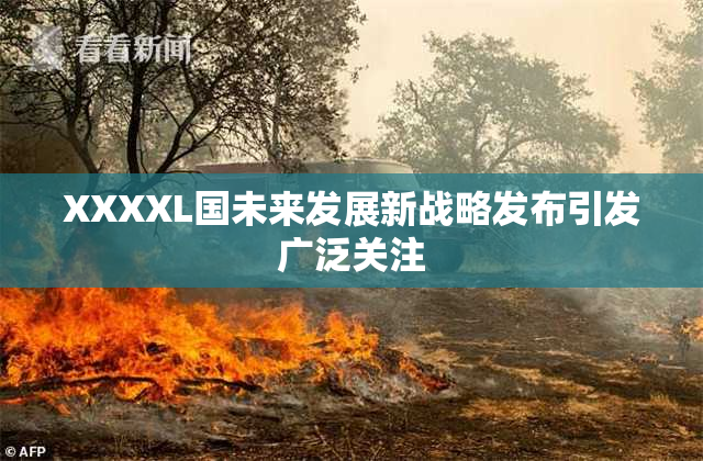 XXXXL国未来发展新战略发布引发广泛关注