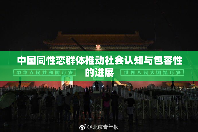 中国同性恋群体推动社会认知与包容性的进展