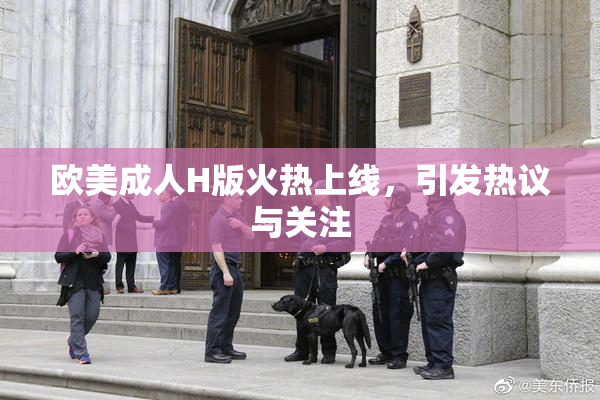 欧美成人H版火热上线，引发热议与关注