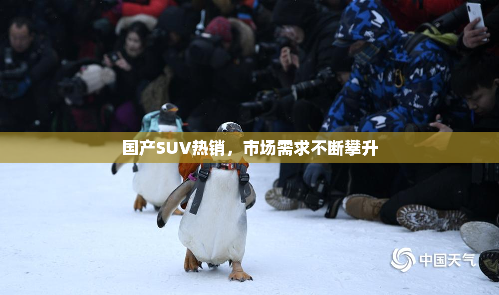 国产SUV热销，市场需求不断攀升
