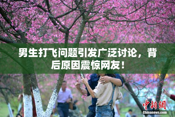 男生打飞问题引发广泛讨论，背后原因震惊网友！