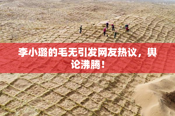 李小璐的毛无引发网友热议，舆论沸腾！