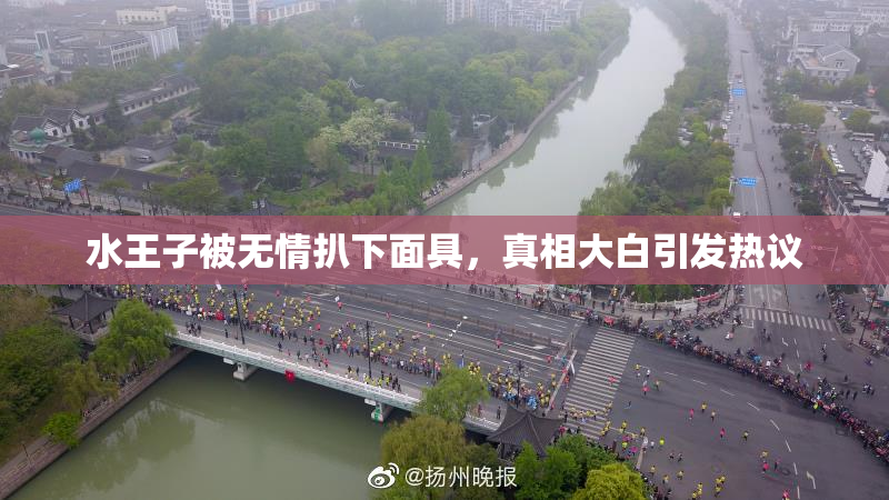 水王子被无情扒下面具，真相大白引发热议