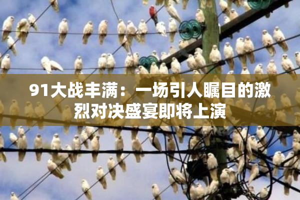 91大战丰满：一场引人瞩目的激烈对决盛宴即将上演