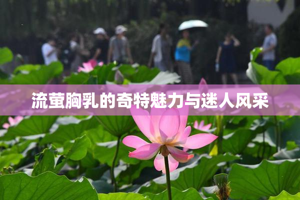 流萤胸乳的奇特魅力与迷人风采