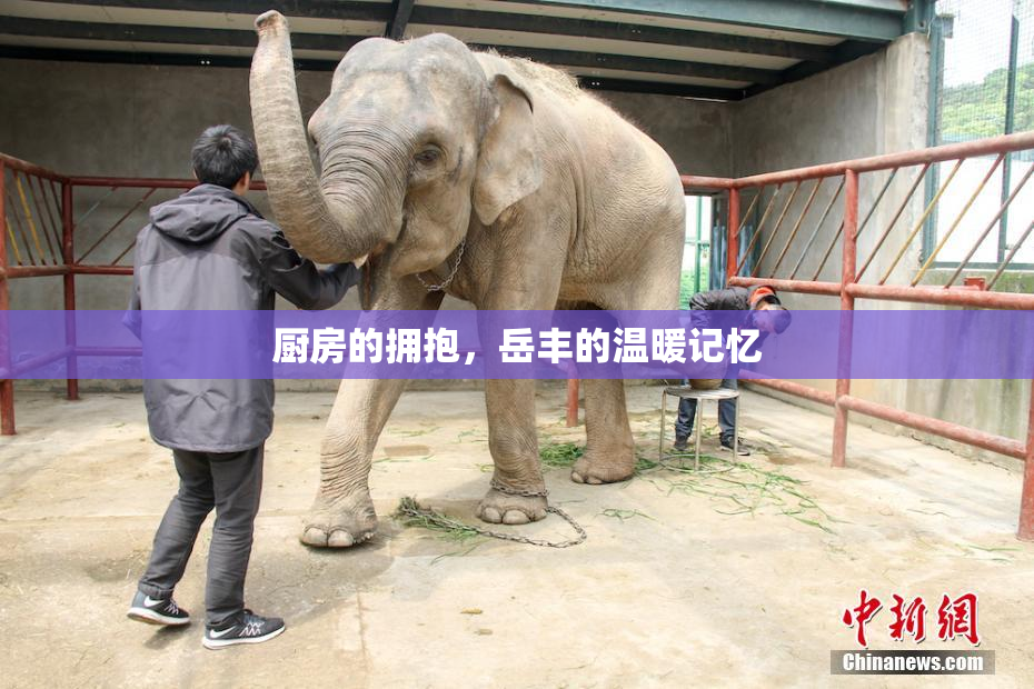 厨房的拥抱，岳丰的温暖记忆