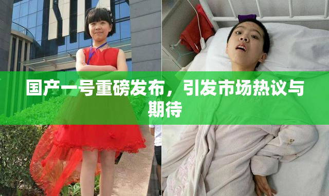 国产一号重磅发布，引发市场热议与期待
