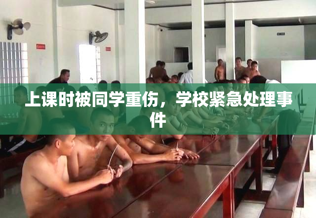 上课时被同学重伤，学校紧急处理事件