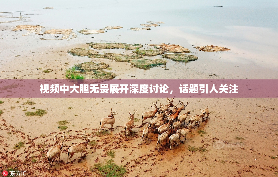 视频中大胆无畏展开深度讨论，话题引人关注