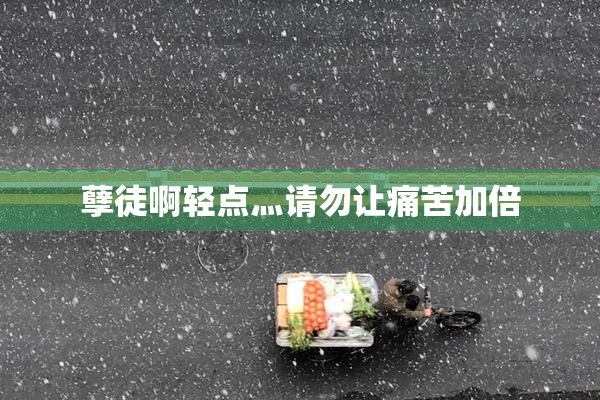 孽徒啊轻点灬请勿让痛苦加倍