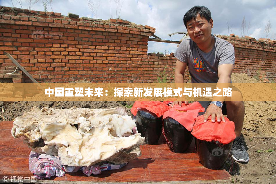 中国重塑未来：探索新发展模式与机遇之路