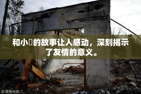 和小娻的故事让人感动，深刻揭示了友情的意义。