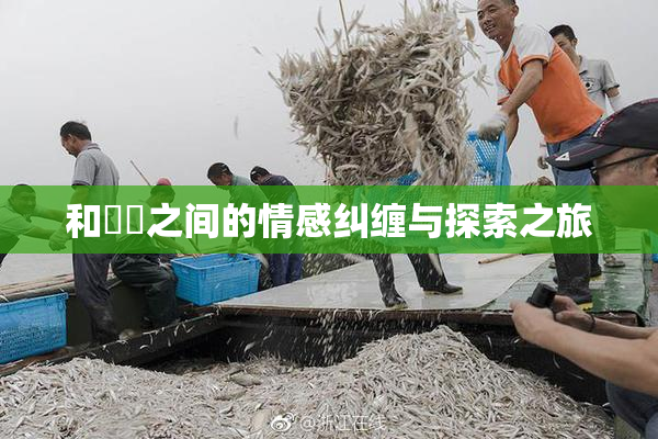 和妺妺之间的情感纠缠与探索之旅