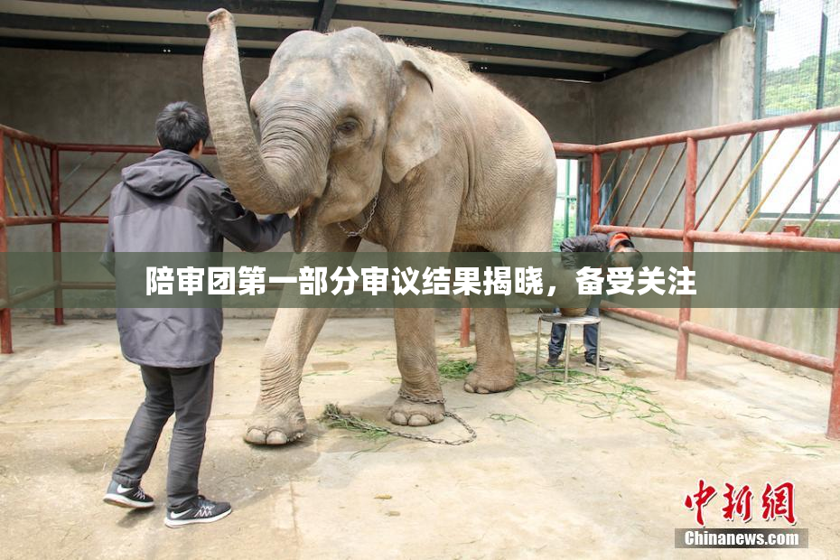 陪审团第一部分审议结果揭晓，备受关注