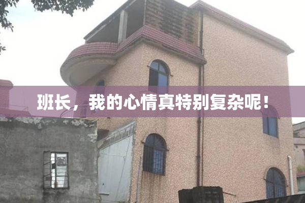班长，我的心情真特别复杂呢！