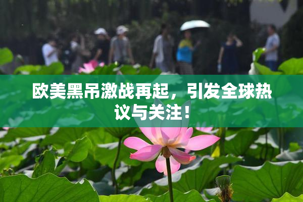 欧美黑吊激战再起，引发全球热议与关注！