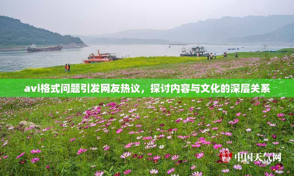 avi格式问题引发网友热议，探讨内容与文化的深层关系