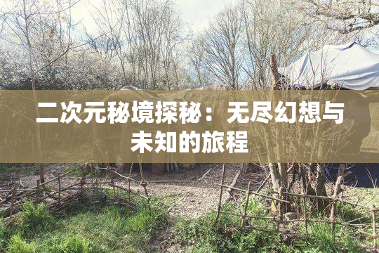 二次元秘境探秘：无尽幻想与未知的旅程