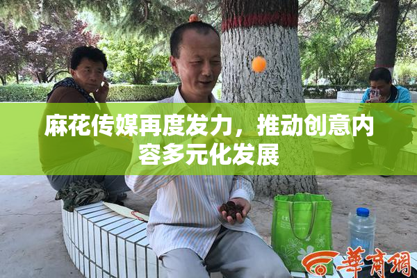 麻花传媒再度发力，推动创意内容多元化发展