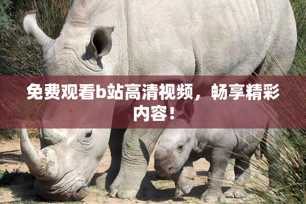 免费观看b站高清视频，畅享精彩内容！