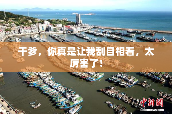 干爹，你真是让我刮目相看，太厉害了！
