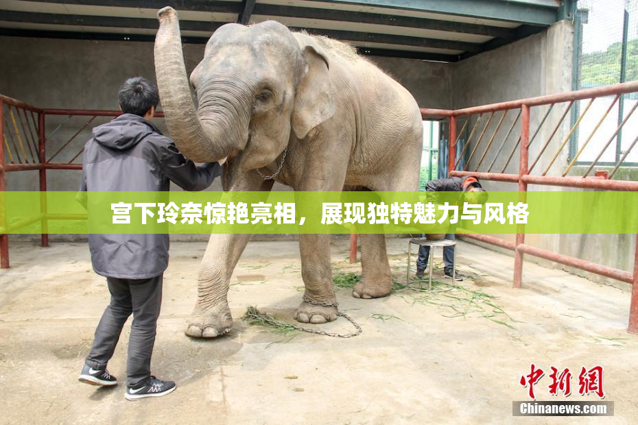 宫下玲奈惊艳亮相，展现独特魅力与风格