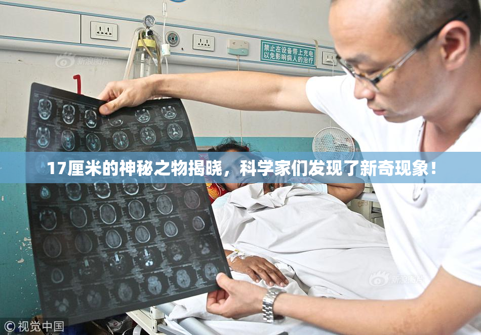 17厘米的神秘之物揭晓，科学家们发现了新奇现象！