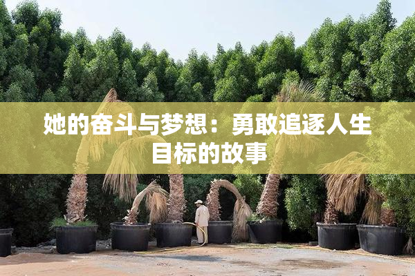 她的奋斗与梦想：勇敢追逐人生目标的故事