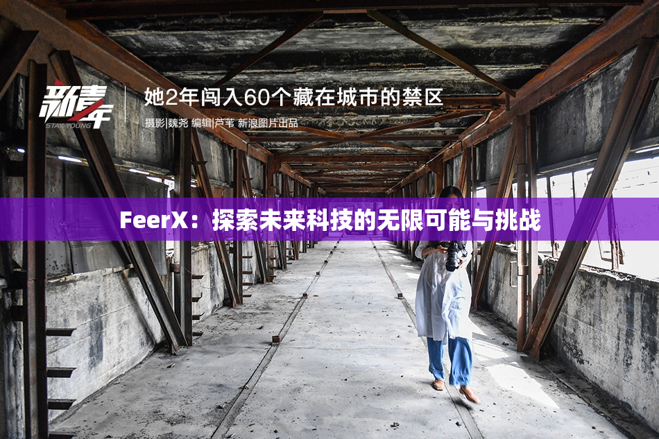 FeerX：探索未来科技的无限可能与挑战