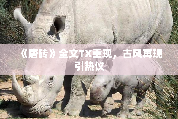 《唐砖》全文TX重现，古风再现引热议