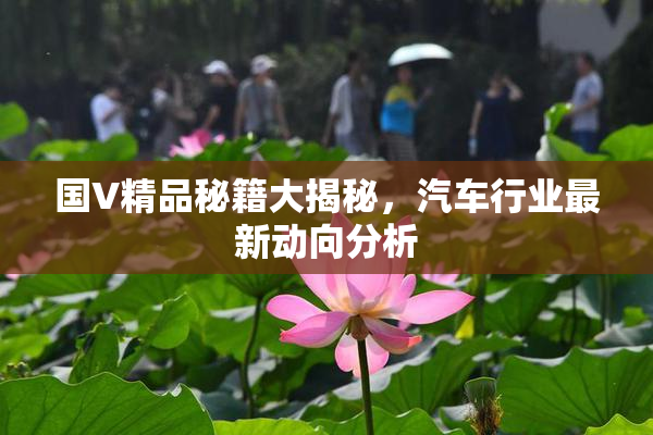 国V精品秘籍大揭秘，汽车行业最新动向分析