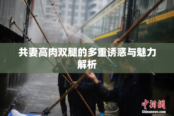 共妻高肉双腿的多重诱惑与魅力解析