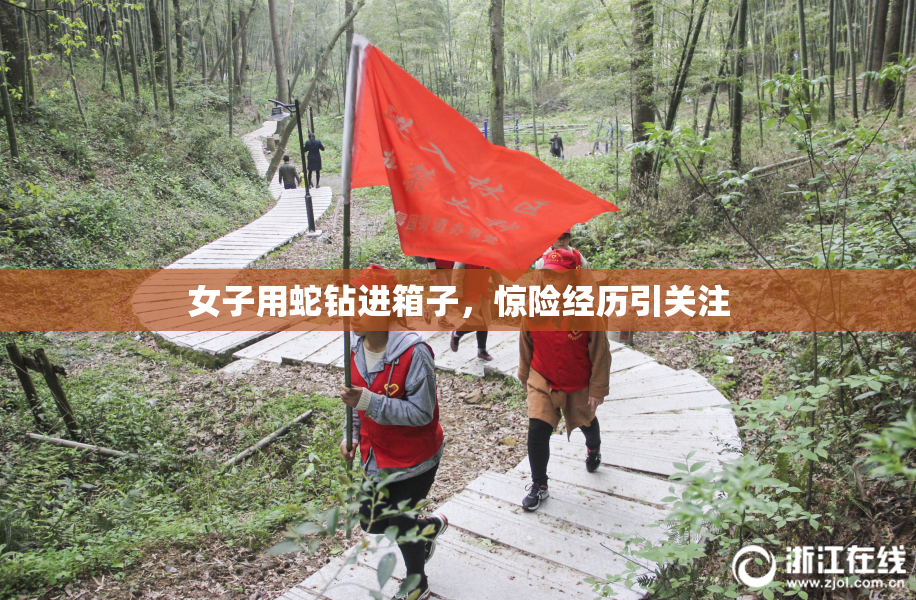 女子用蛇钻进箱子，惊险经历引关注