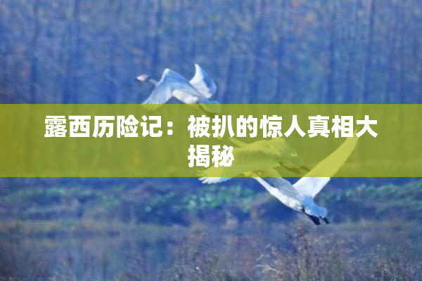 露西历险记：被扒的惊人真相大揭秘