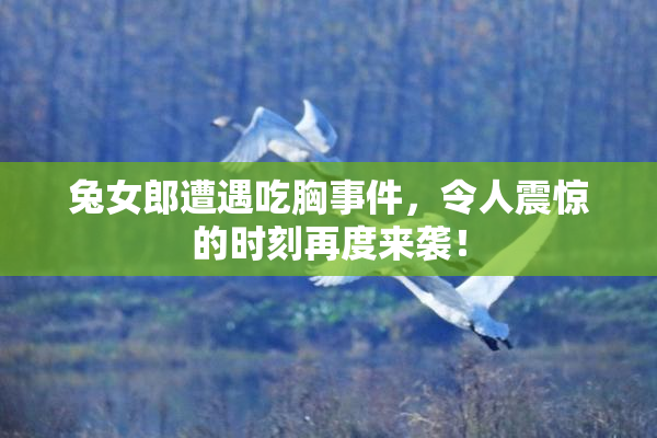 兔女郎遭遇吃胸事件，令人震惊的时刻再度来袭！