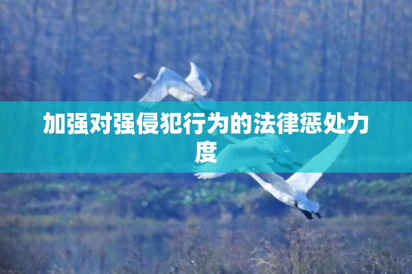 加强对强侵犯行为的法律惩处力度
