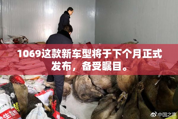 1069这款新车型将于下个月正式发布，备受瞩目。