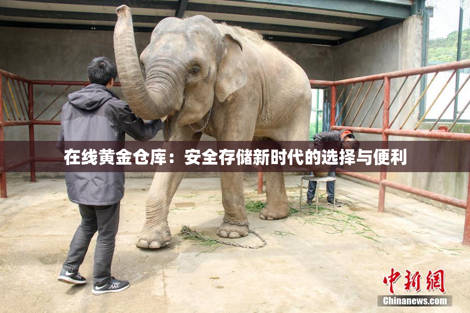 在线黄金仓库：安全存储新时代的选择与便利