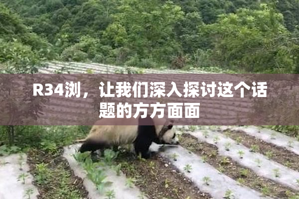 R34浏，让我们深入探讨这个话题的方方面面