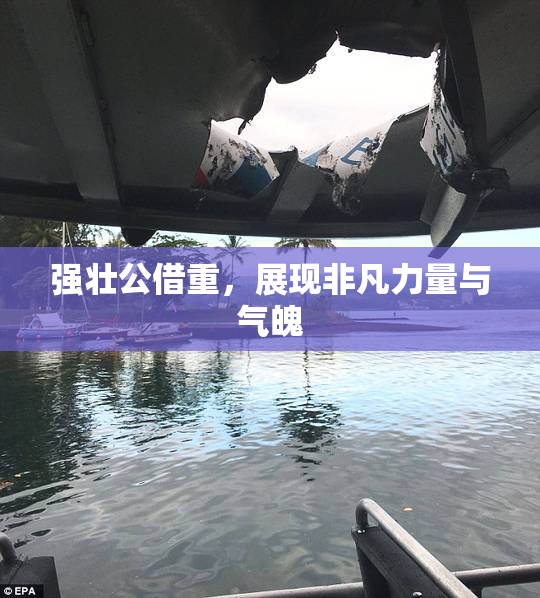 强壮公借重，展现非凡力量与气魄