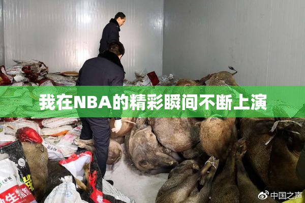 我在NBA的精彩瞬间不断上演